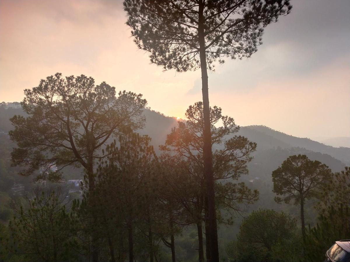 كاساولى Pine Villa المظهر الخارجي الصورة