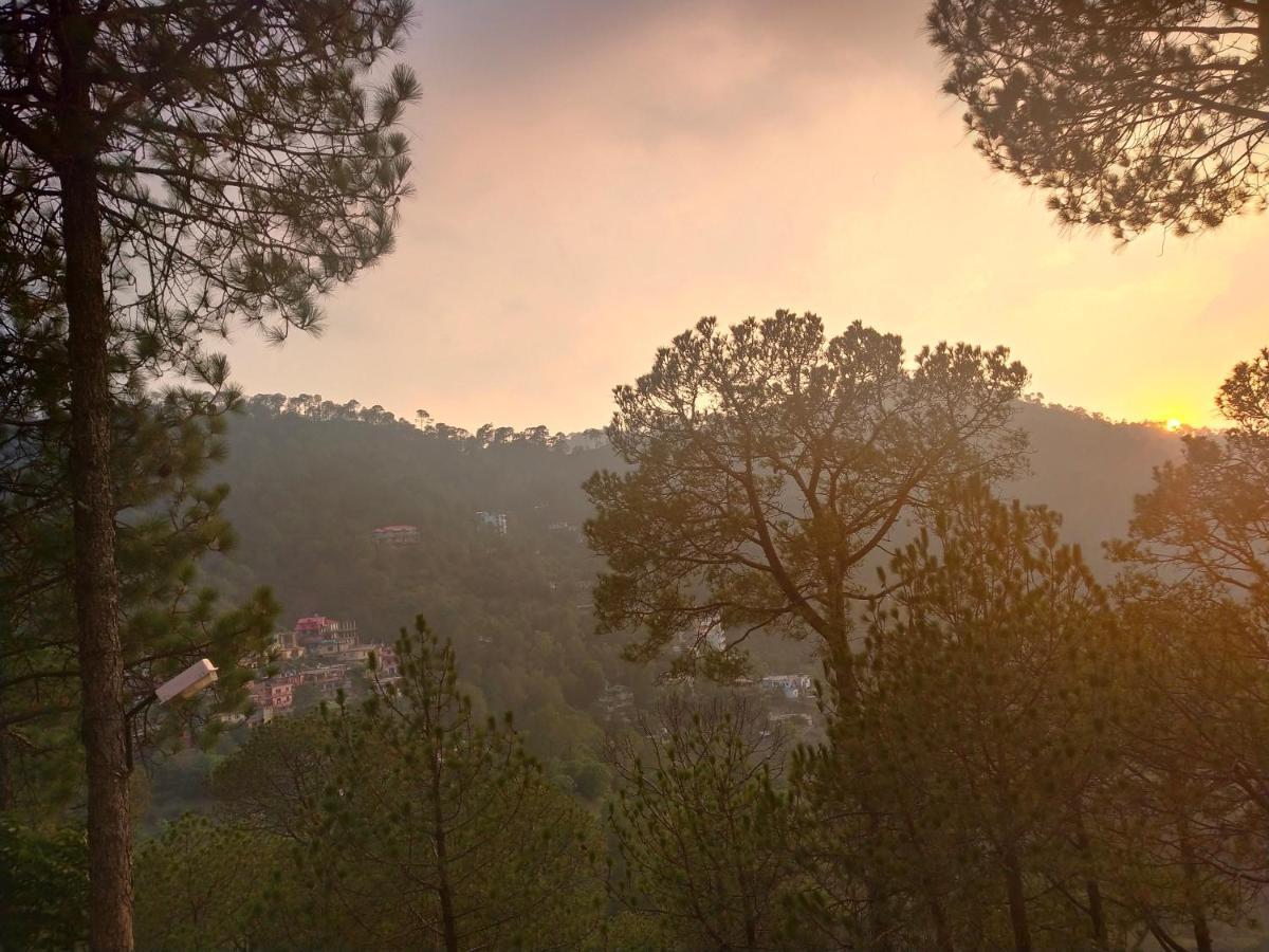 كاساولى Pine Villa المظهر الخارجي الصورة