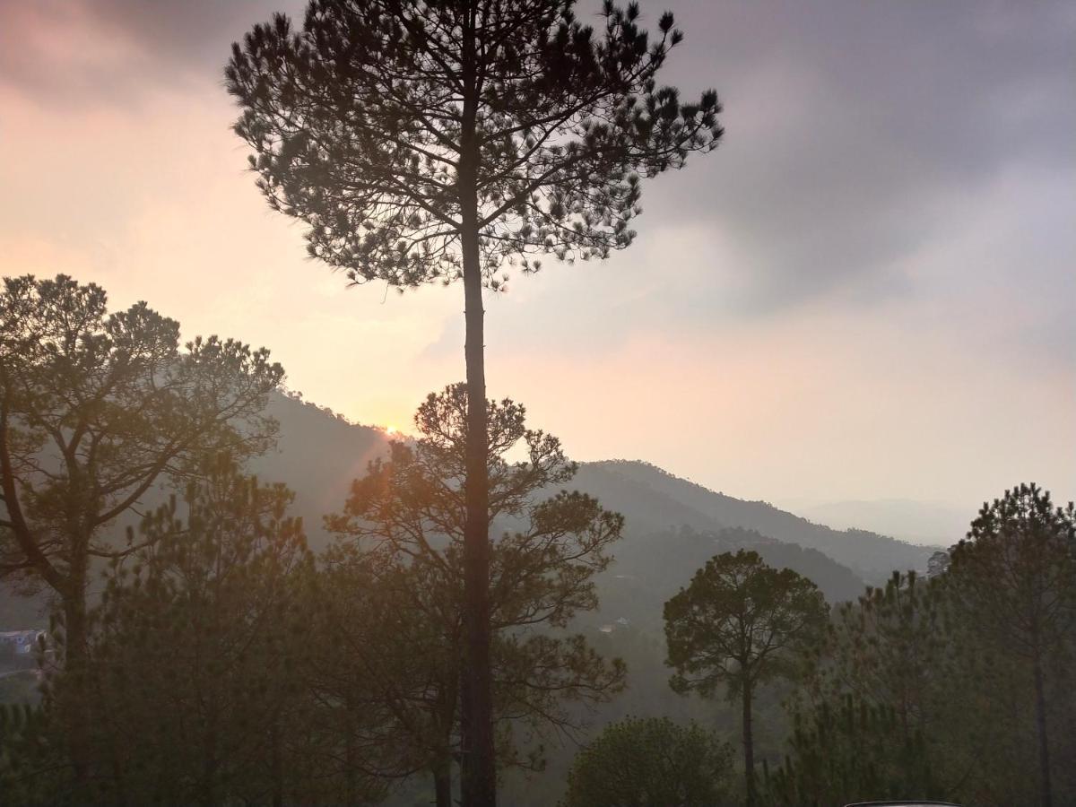 كاساولى Pine Villa المظهر الخارجي الصورة