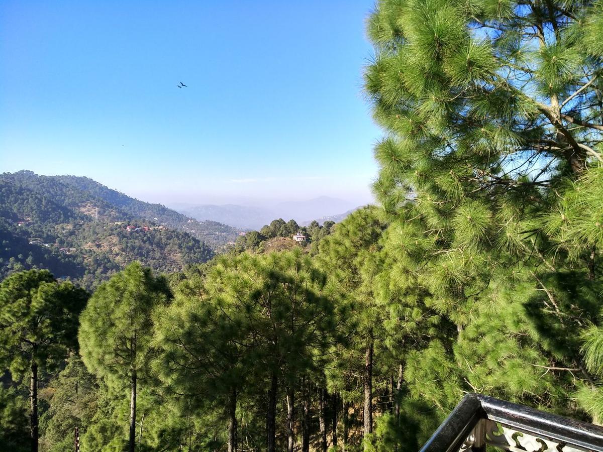 كاساولى Pine Villa المظهر الخارجي الصورة