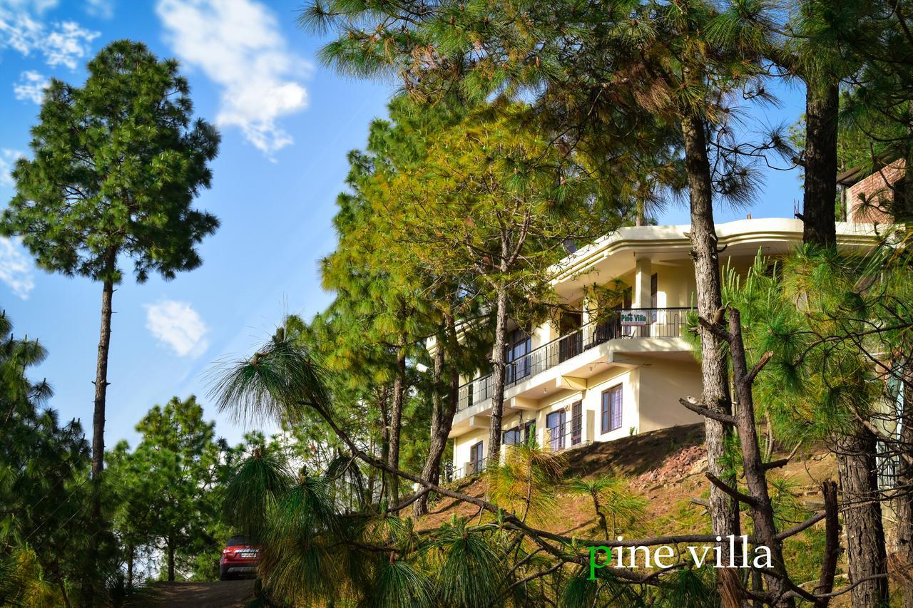 كاساولى Pine Villa المظهر الخارجي الصورة